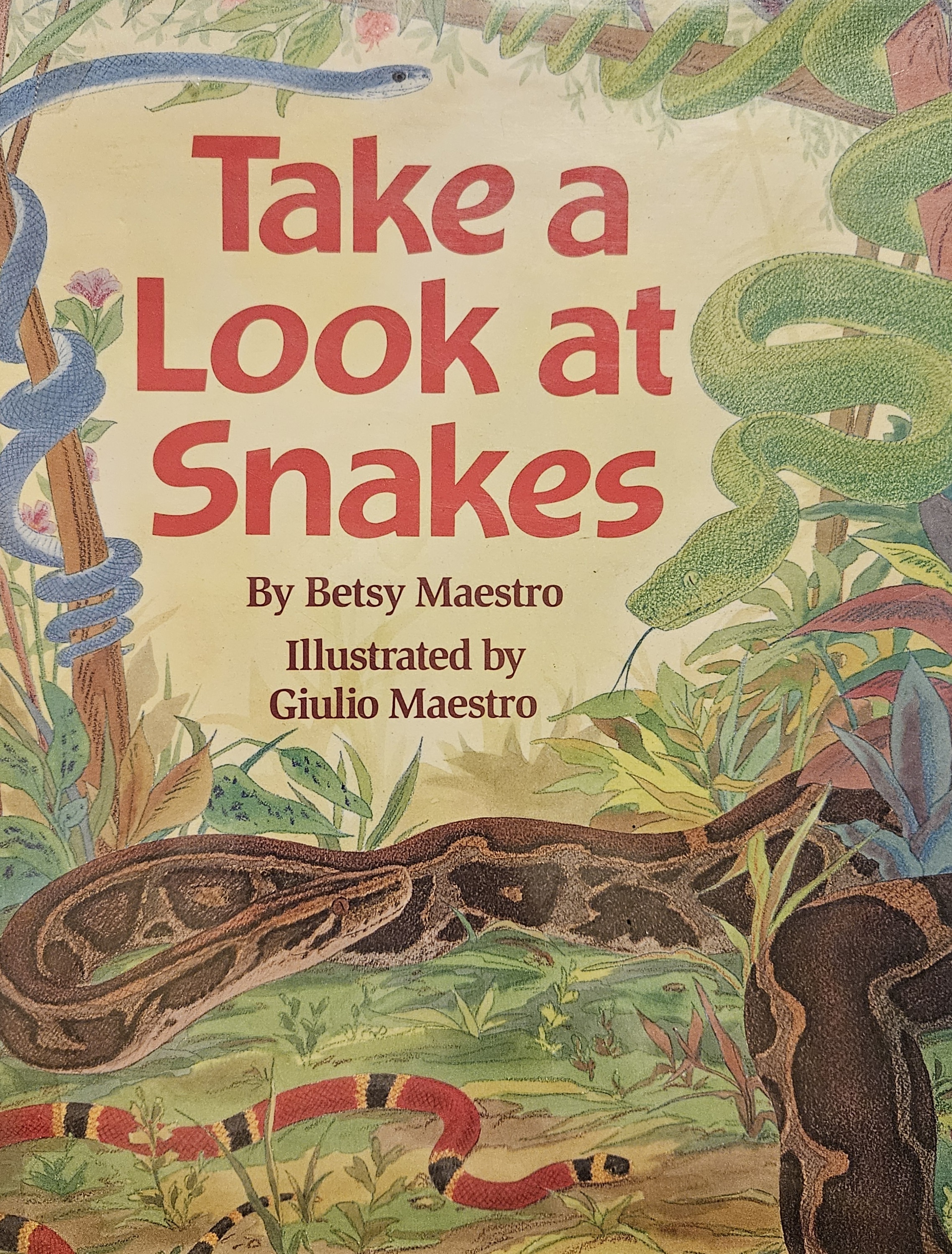 Take a Look at Snakes (Library Binding)