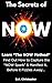 The Secrets of NOW: Learn The NOW Method - Find Out How to Take the Spark of Life, of an Idea, and Capture It Before It Fizzles Away...