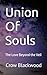Union Of Souls: The Love Beyond the Veil