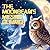 The Moonbeam's Missing Glim...