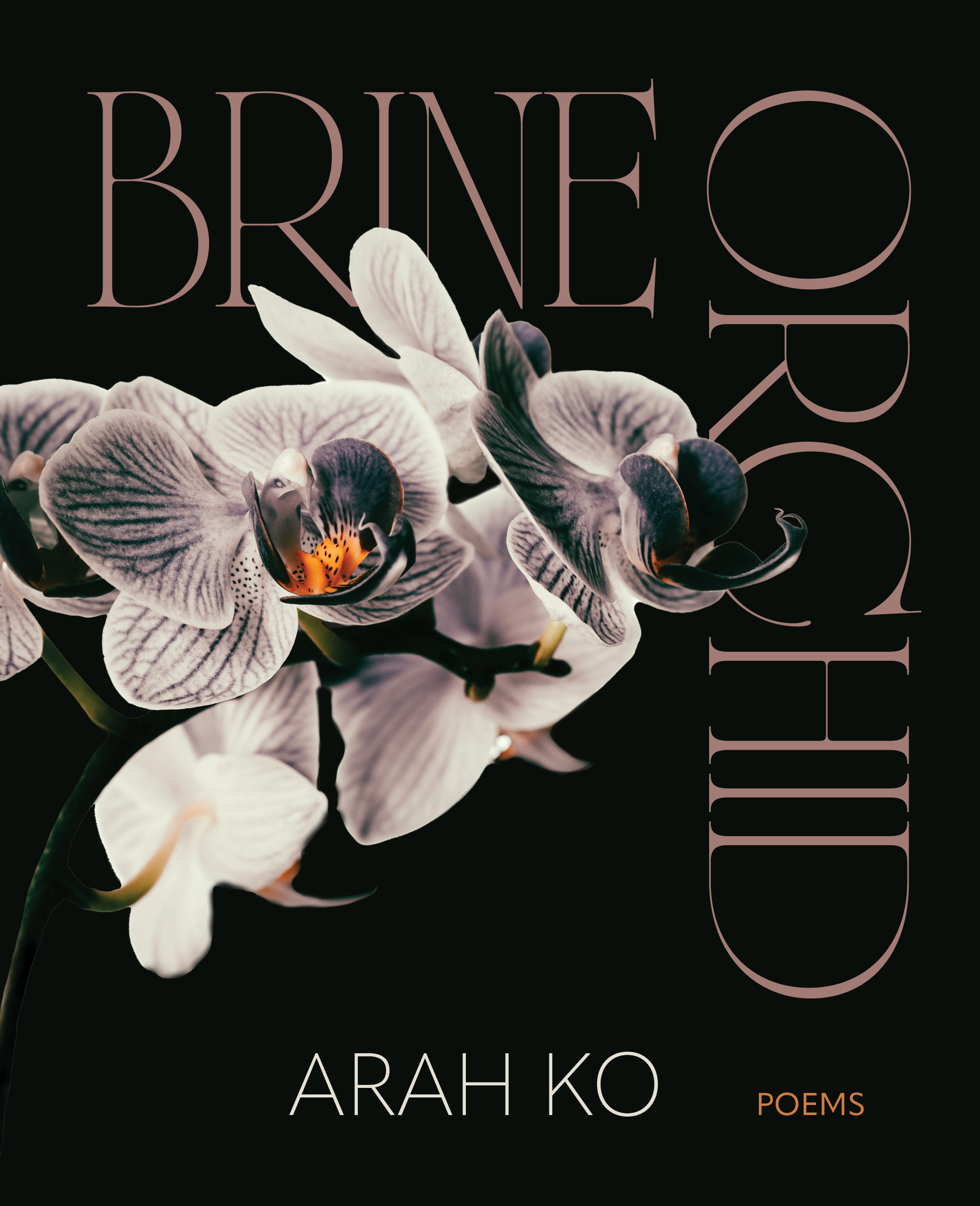 Brine Orchid (Paperback)