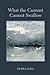 What the Current Cannot Swallow by Debra   Hall