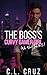 The Boss's Curvy Gamer Girl by C.L. Cruz