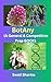 BotAny: A General & Competi...