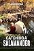 Catching a Salamander
