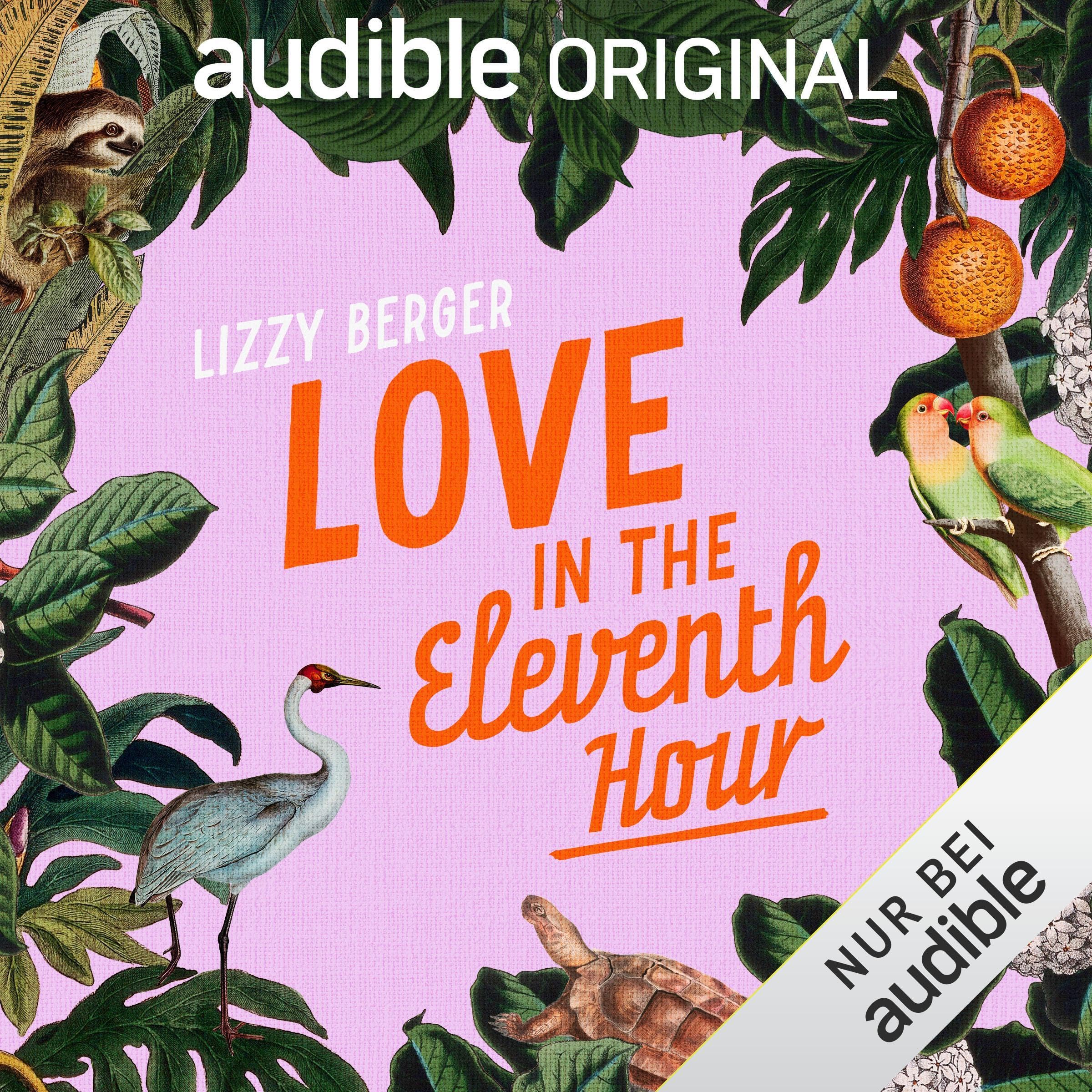 Love in the Eleventh Hour (Audible Audio)
