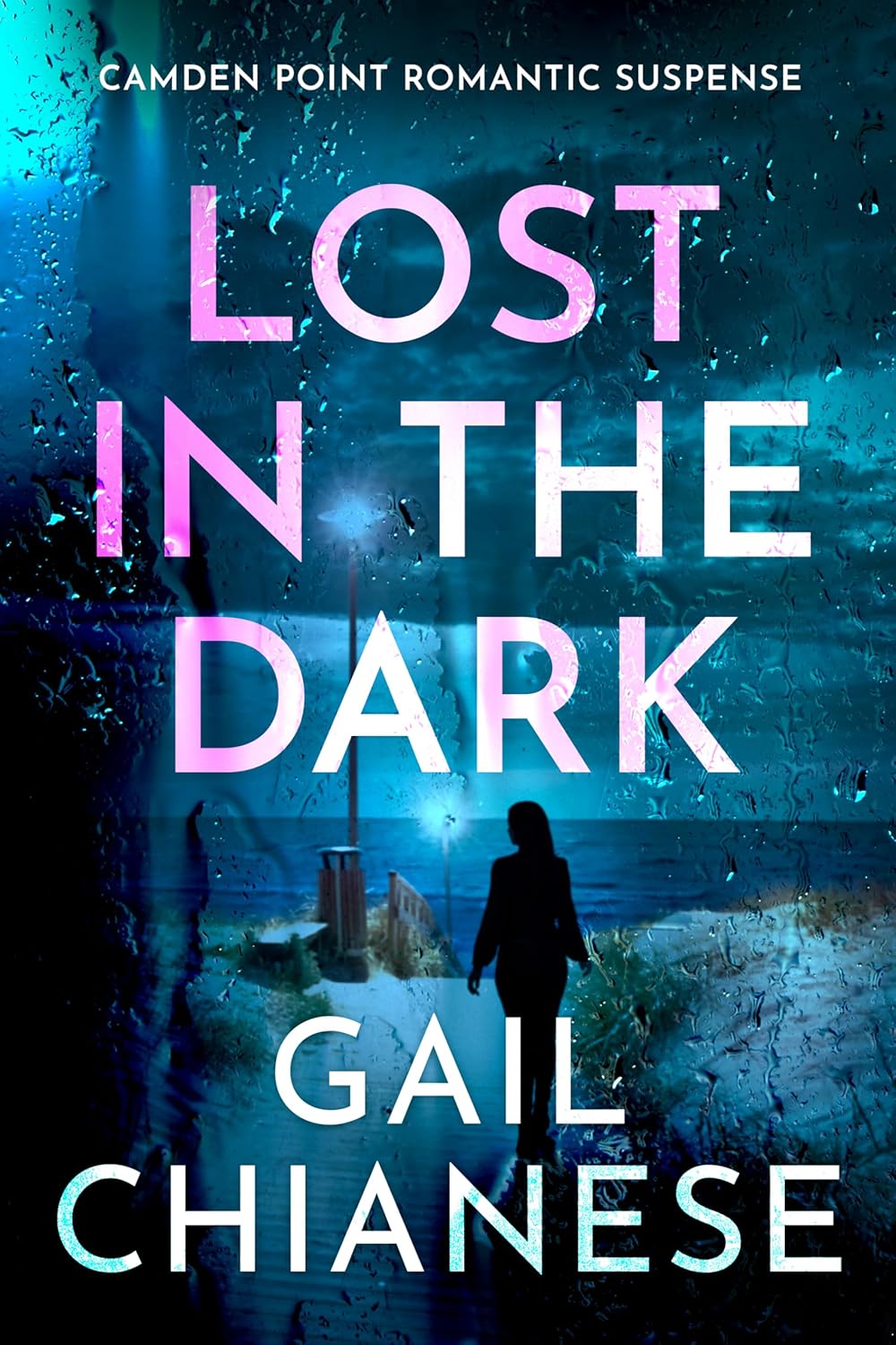 Lost in the Dark (Camden Point Romantic Suspense #3)