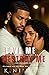 LOVE ME, DESTROY ME by K. NI'KOLÉ LOVE ME, DESTROY ME by K. NI'KOLÉ