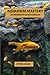 Aquarium mastery: An underw...