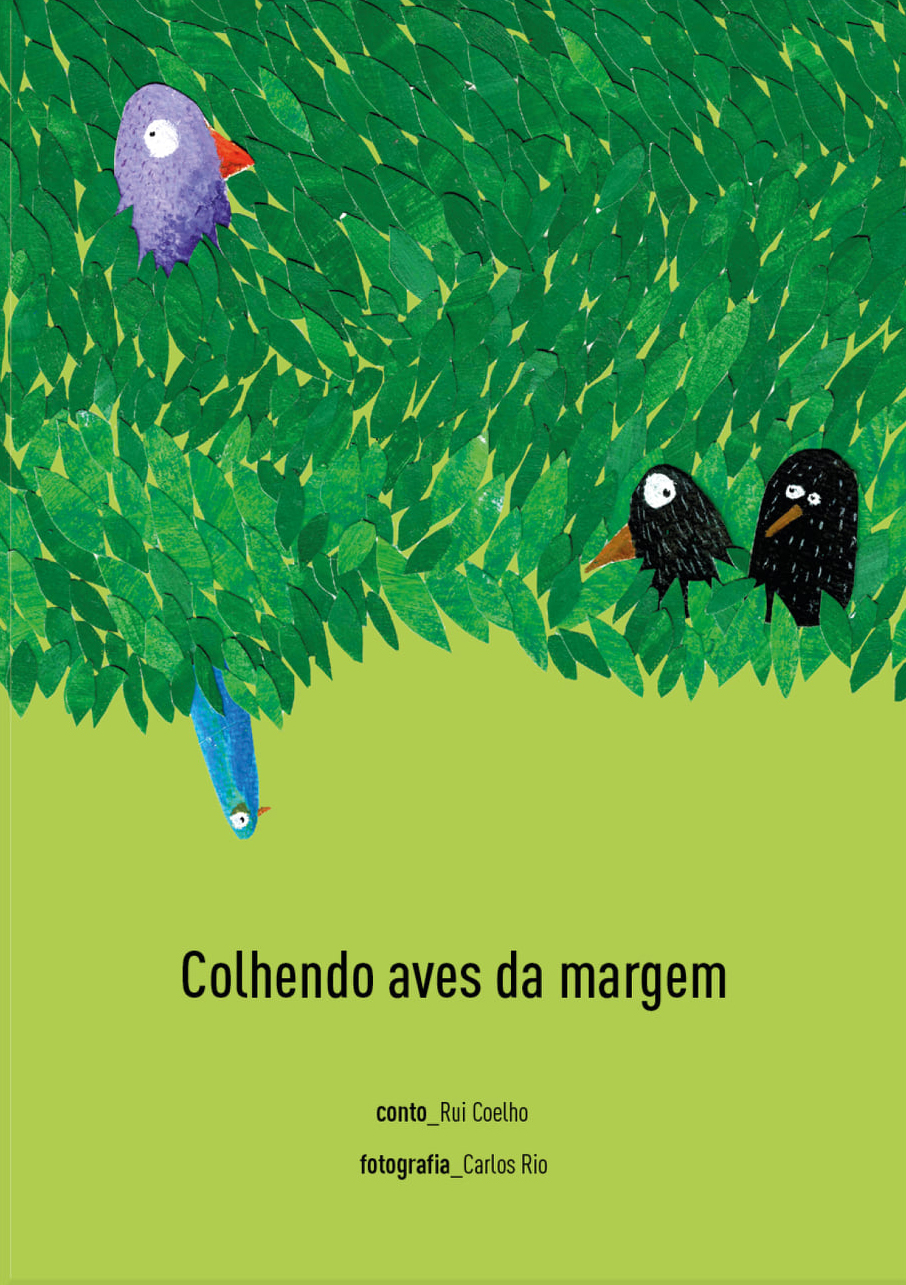 Colhendo aves da margem (Paperback)