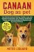 CANAAN DOG AS PET: Your Ult...