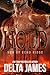 Echo: Hold: A Military Romantic Suspense (Men of Echo Ridge Book 4)