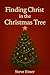 Finding Christ in The Christmas Tree by Steve Etner