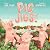 Pig Jigs!