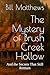 The Mystery of Brush Creek Hollow by Bill Matthews