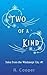 Two of a Kind (Tales from the Windswept City Book 1)