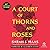 A Court of Thorns and Roses: Special Anniversary Edition (The Court of Thorns and Roses Series)