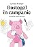 Rostogol în campanie by Lavinia Braniște