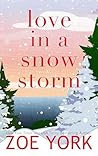 Book cover for Love in a Snow Storm (Pine Harbour, #2)