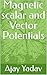 Magnetic scalar and Vector ...