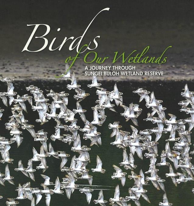 Birds of Our Wetlands: A Journey through Sungei Buloh Wetland Reserve (Hardcover)
