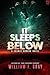 It Sleeps Below by William F. Gray