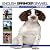 English Springer Spaniel: C...