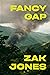 Fancy Gap: A Novel
