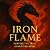 Summary of Iron Flame: Surv...