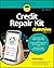 Credit Repair Kit For Dummies