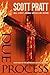 Due Process: A Joe Dillard Novel (Joe Dillard Series Book 9)