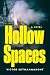 Hollow Spaces: A Novel
