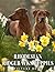 A Photo Book Of Rhodesian Ridgebacks puppies by Calvin Sanders