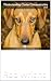 Understanding Canine Communication by Rob Wright