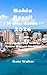 Bahia Brazil Travel Guide 2...