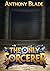 The Only Sorcerer (Mage Academy Book 1)
