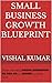 SMALL BUSINESS GROWTH BLUEP...