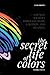 The SECRET LIFE of COLORS by Andres Vrant