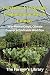 Polytunnel Vegetable Produc...