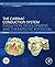 The Cardiac Conduction System: Evolution, Development, and Therapeutic Potential (Hot Topics in Physiology)