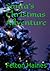 Santa's Christmas Adventure