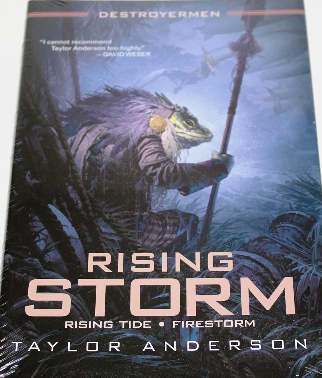 Rising Storm: Rising Tides / Firestorm (Destroyermen Omnibus, #3)