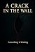 A Crack in the Wall: Someth...