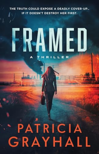 Framed: A Thriller (Paperback)