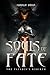 Souls of Fate: The Paladin'...