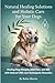 Natural Healing Solutions and Holistic Care for Your Dogs by Robin Martin