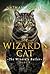 The Wizard's Cat (The Wizar...