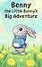 Little Bunny’s Big Adventure