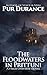 The Floodwaters in Prittuni by Pur Durance