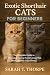 Exotic Shorthair Cats for B...